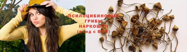 Альфа ПВП Краснослободск
