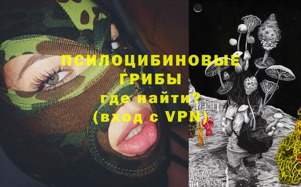 молекула духа Красноперекопск