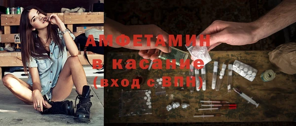 индика Козельск