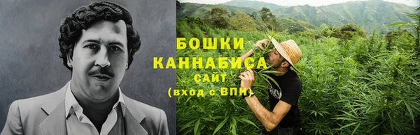 молекула духа Красноперекопск