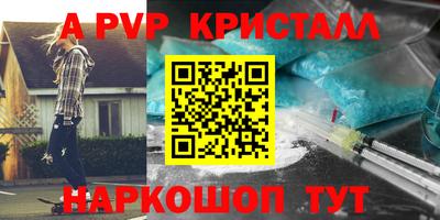 дживик Кингисепп