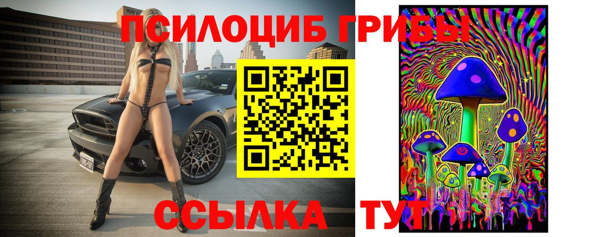 Псилоцибиновые грибы GOLDEN TEACHER Лесосибирск