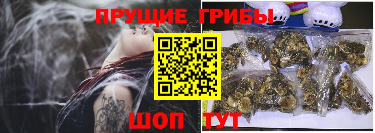 APVP Лесосибирск