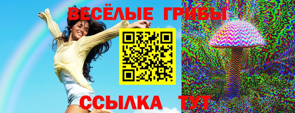 Псилоцибиновые грибы GOLDEN TEACHER  Вход с VPN  Лесосибирск 